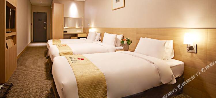 天空花园酒店明洞中心店(Hotel Skypark Central Myeongdong)图片