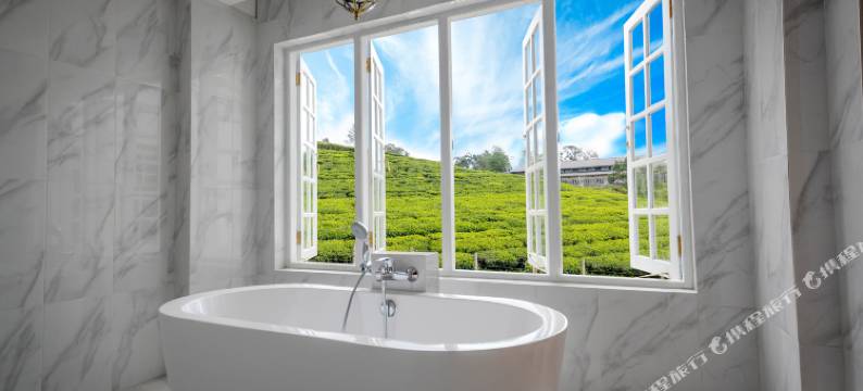 茶园别墅(Villa Tea Fields)图片