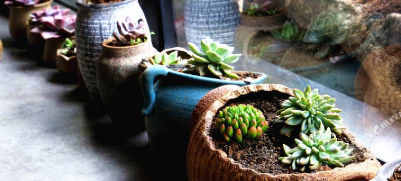 会泽静源客栈图片