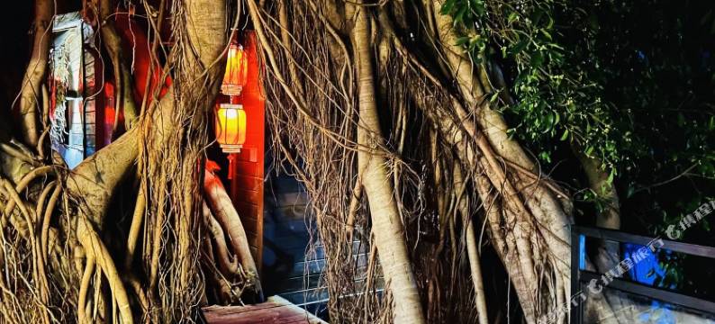 花筑·榕树下的院子(富力海洋文化城店)图片