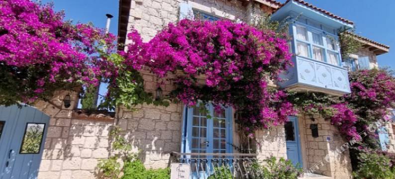 阿斯玛汉酒店(Asma Han Alacati)图片