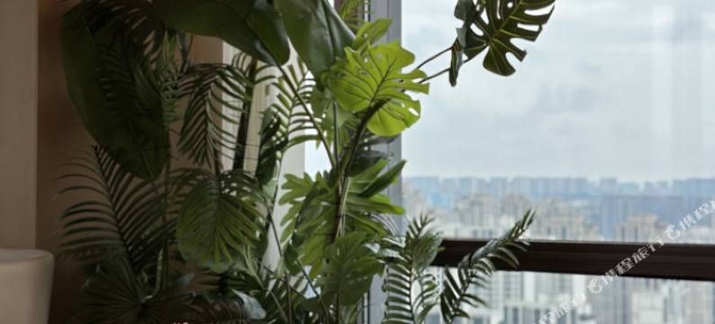 颂夏酒店(重庆国际博览中心中央公园店)图片