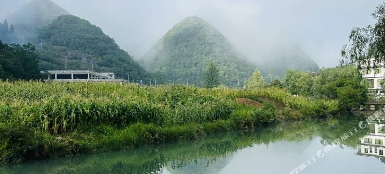 大方桃花源大酒店图片