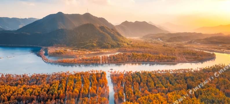 宁国·几里森林·影音MountainandCoffee 美宿(皖南川藏线板桥店)图片