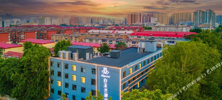 白玉兰酒店(石家庄白求恩国际和平医院五十四所生活区店)图片