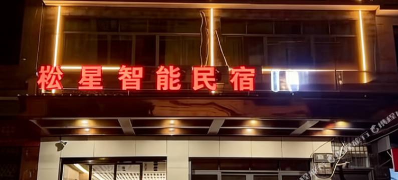 崧星智能民宿图片