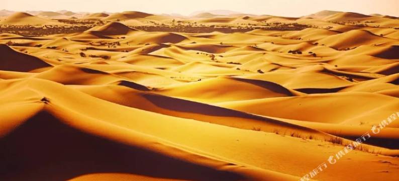 沙坡头如家庄园图片