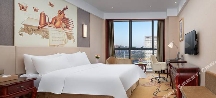 维也纳国际酒店(惠阳市政广场店)图片