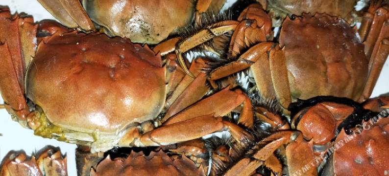 盘锦红海乡园民宿图片