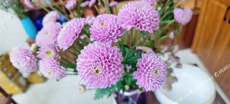 临沧柏尔曼大酒店图片