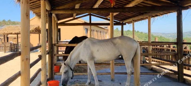 四明山•归来谷民宿图片