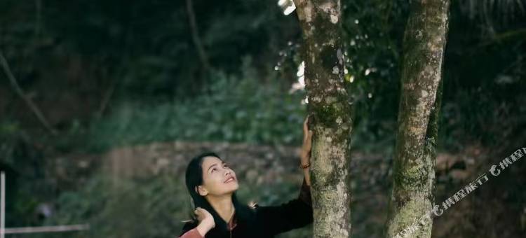 婺源康源山庄图片