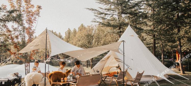 太白山唐镇·诗唐花颂温泉度假酒店图片