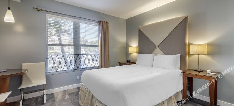 LuxUrban - 弗洛拉酒店(La Flora by LuxUrban)图片