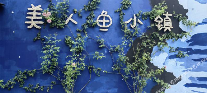 美人鱼小镇Mermaid图片