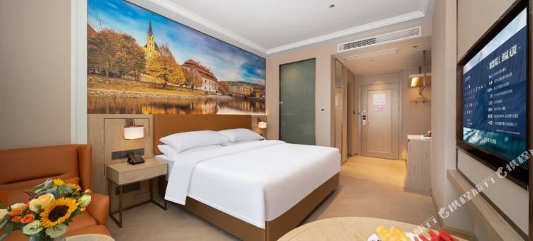 维也纳酒店(大邑高铁站店)图片