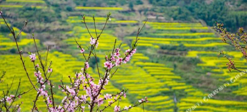婺源篁岭春泉小筑民宿(篁岭景区店)图片