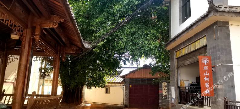 鸡足山爬山树客栈图片