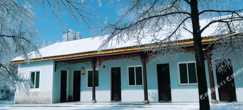 余姚四明山庄森林度假村图片