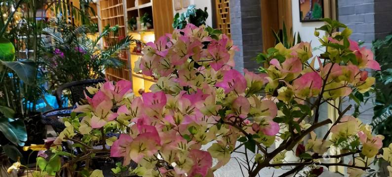 建水陶静别院客栈图片