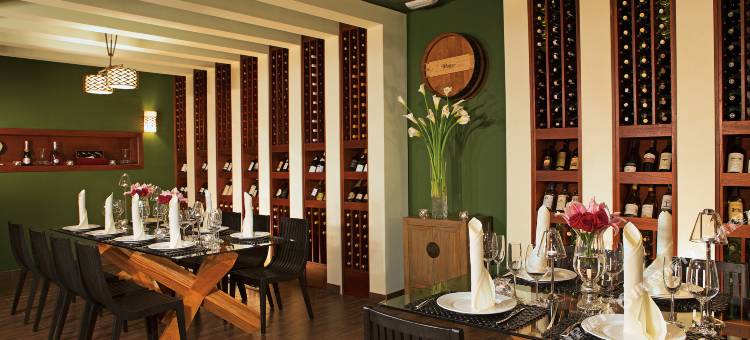 蓬塔卡纳梦幻皇家海滩酒店(Dreams Royal Beach Punta Cana)图片