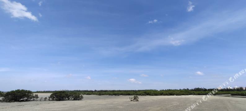 北海赶海民宿(红树林店)图片