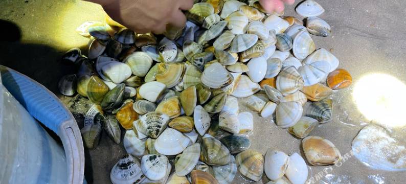 阳江海边居沙滩民宿图片