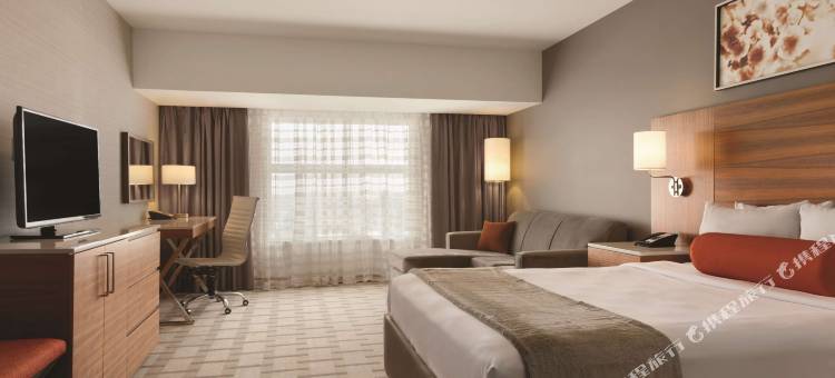 卡尔加里机场丽笙酒店及会议中心(Radisson Hotel & Conference Centre Calgary Airport)图片