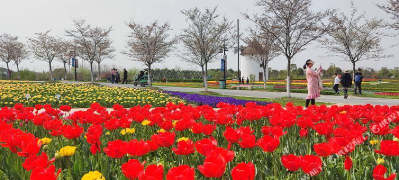 孝感金卉庄园渔家小院别墅图片