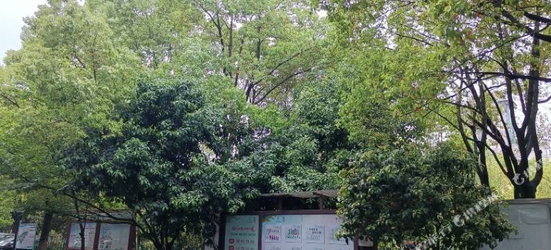 湖州楠舍宾馆图片