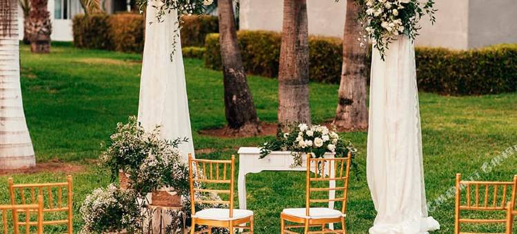 美罗尔拉斯里乌帕拉塞酒店(Hotel Riu Palace Meloneras)图片