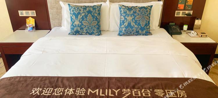 贵州山水大酒店(黔灵山公园北京路地铁站店)图片