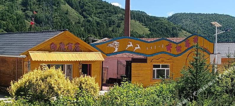 阿尔山云松客栈(洮儿河国家湿地公园店)图片