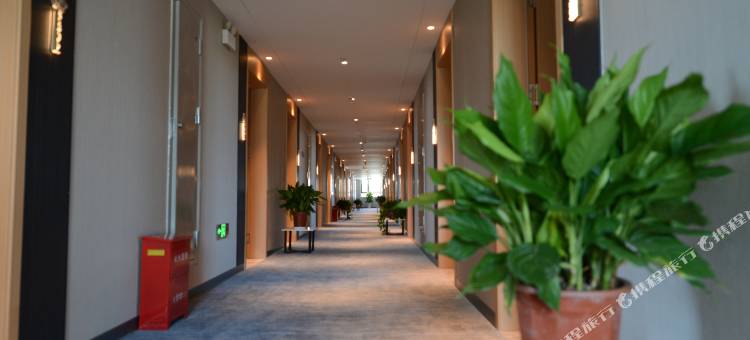 白玉兰酒店(十堰东风大道机场店)图片