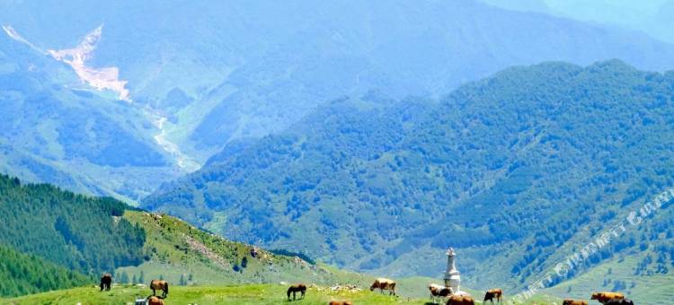 如家华驿精选酒店(五台山风景区店)图片