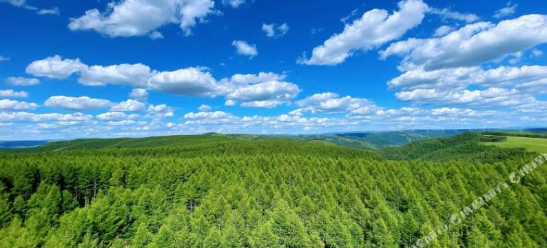 塞罕坝张小马民宿图片