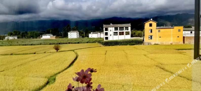 沙溪古镇稻乡居民宿图片