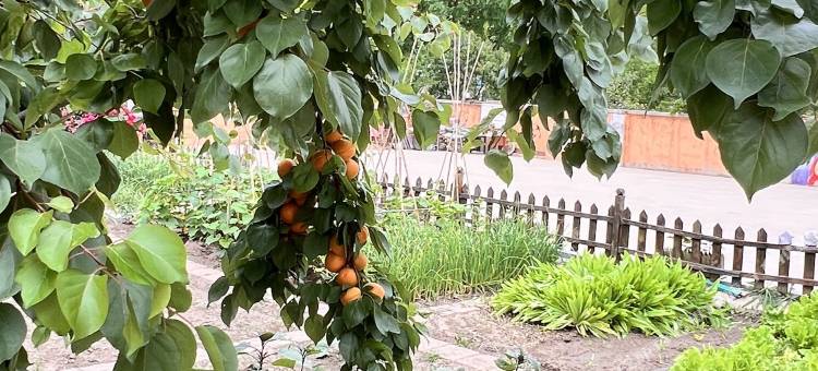 盘锦郝家民宿图片