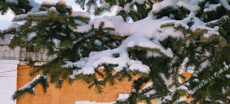 知许小院民宿图片