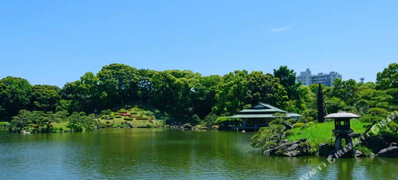 清澄白河我的住宿酒店(HOTEL MYSTAYS Kiyosumi Shirakawa)图片