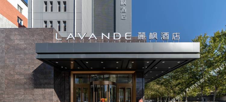 麗枫酒店(鸡西火车站店)图片