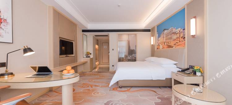 维也纳国际酒店(邵阳夫夷天街店)图片