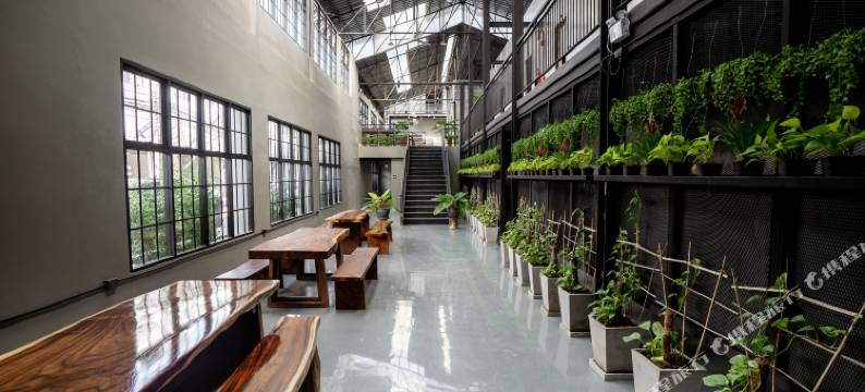 清迈高级旅舍(Premier Hostel Chiang Mai)图片
