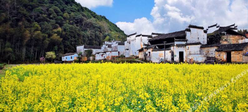 在荷间·婺源墅家百年故里西冲院图片