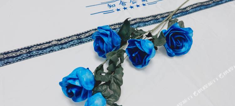 乌兰察布知舍公寓图片
