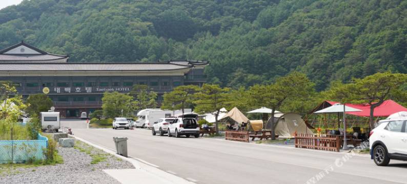 太白酒店(Taebaek Hotel)图片