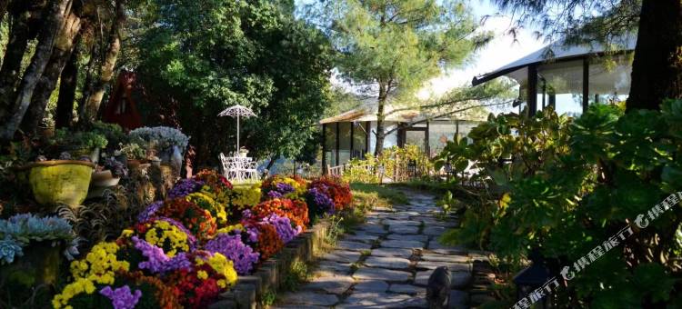 无量山Bodhi野奢帐篷营地图片