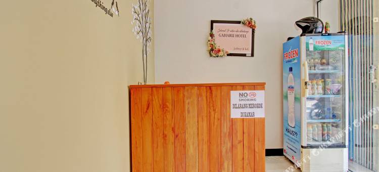 O系列92972加哈鲁酒店(Collection O 92972 Gaharu Hotel)图片