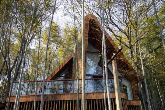 天目湖遇·湖林里酒店图片