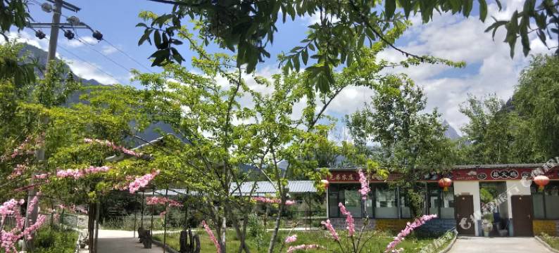 波密咔达桥兄弟农庄(波密桃花沟店)图片